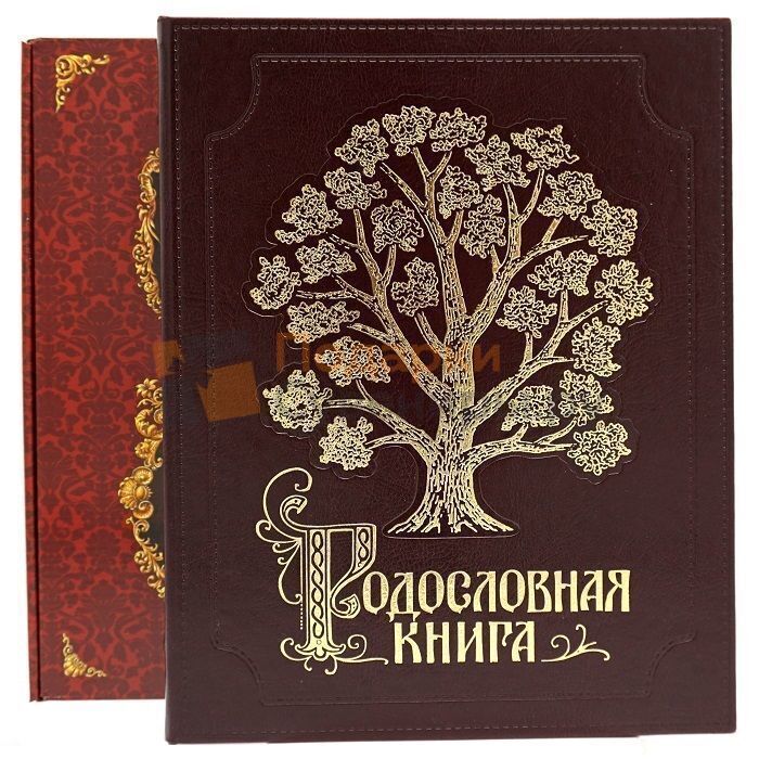 Родословная книга. Моя родословная книга. Книга Древо. Книга семейная летопись Древо. Резная родословная книга.